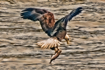 A painted eagle carrying it's catch